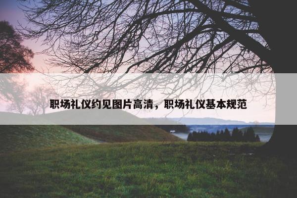 职场礼仪约见图片高清，职场礼仪基本规范
