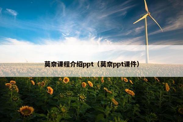 莫奈课程介绍ppt（莫奈ppt课件）