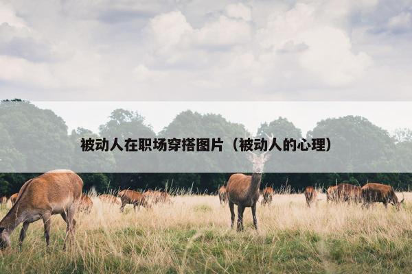 被动人在职场穿搭图片（被动人的心理）
