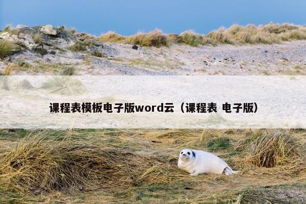 课程表模板电子版word云（课程表 电子版）