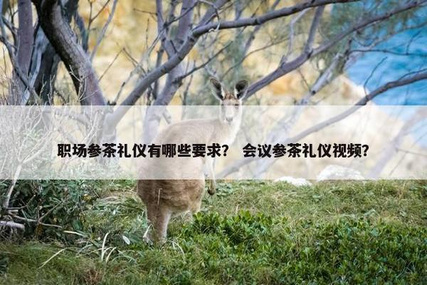 职场参茶礼仪有哪些要求？ 会议参茶礼仪视频？