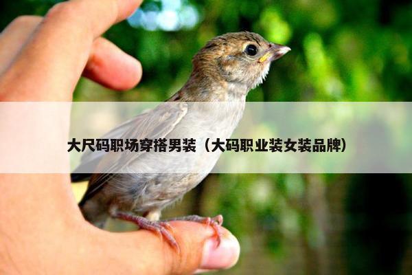 大尺码职场穿搭男装（大码职业装女装品牌）