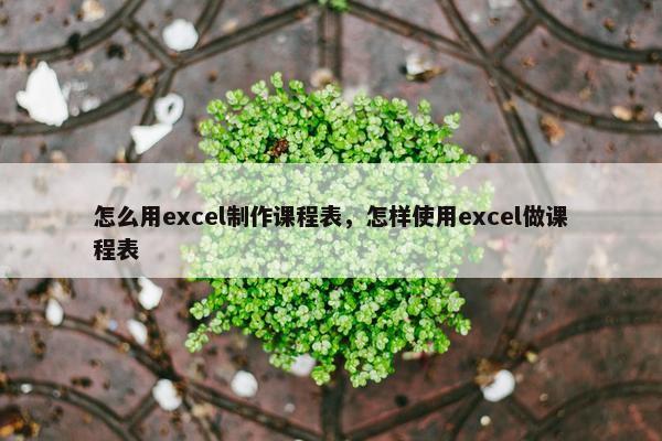 怎么用excel制作课程表，怎样使用excel做课程表