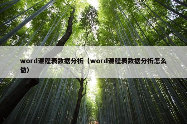 word课程表数据分析（word课程表数据分析怎么做）