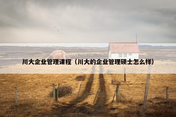 川大企业管理课程（川大的企业管理硕士怎么样）