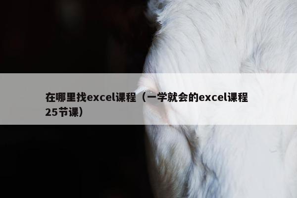 在哪里找excel课程（一学就会的excel课程 25节课）