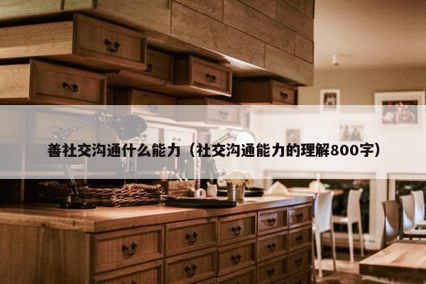 善社交沟通什么能力（社交沟通能力的理解800字）