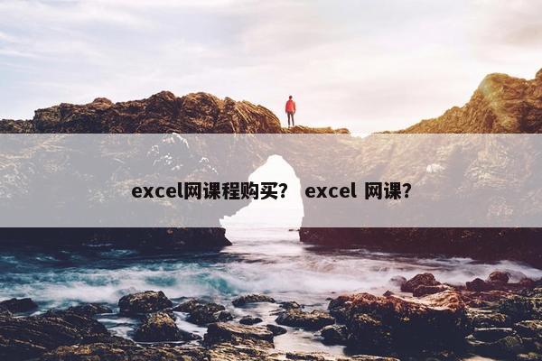 excel网课程购买？ excel 网课？