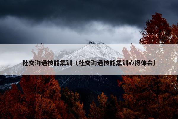 社交沟通技能集训（社交沟通技能集训心得体会）