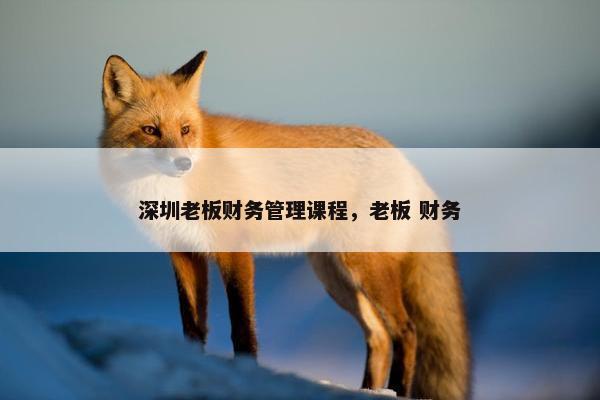 深圳老板财务管理课程，老板 财务