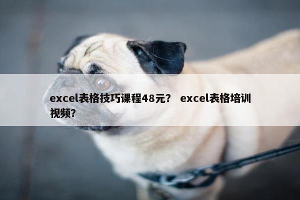 excel表格技巧课程48元？ excel表格培训视频？