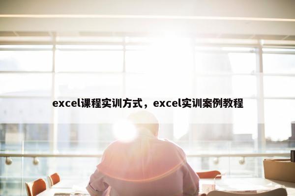 excel课程实训方式，excel实训案例教程