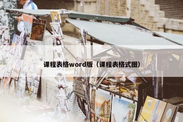 课程表格word版（课程表格式图）