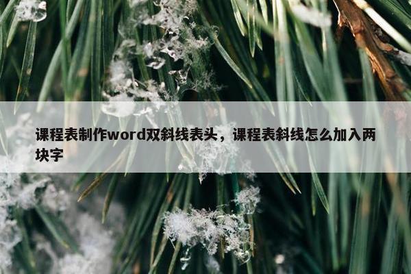课程表制作word双斜线表头，课程表斜线怎么加入两块字
