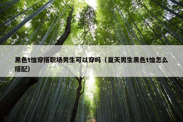黑色t恤穿搭职场男生可以穿吗（夏天男生黑色t恤怎么搭配）