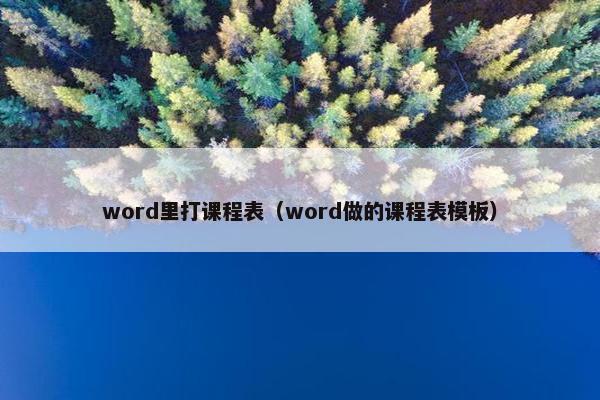 word里打课程表（word做的课程表模板）