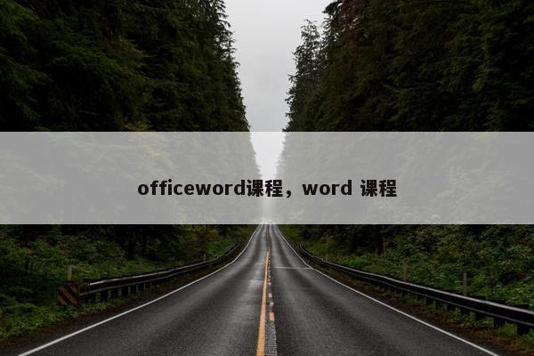 officeword课程，word 课程