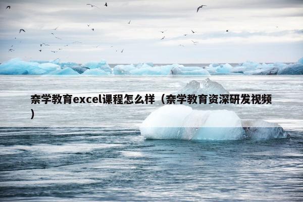 奈学教育excel课程怎么样（奈学教育资深研发视频）