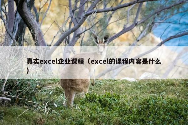 真实excel企业课程（excel的课程内容是什么）