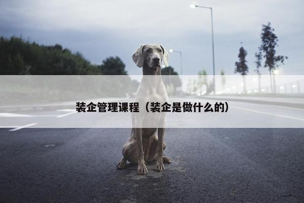 装企管理课程（装企是做什么的）