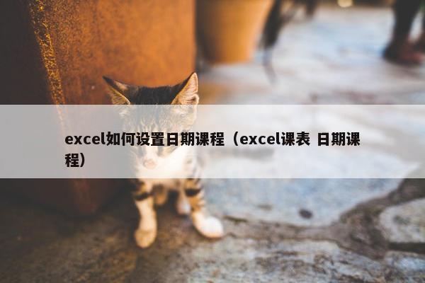 excel如何设置日期课程（excel课表 日期课程）