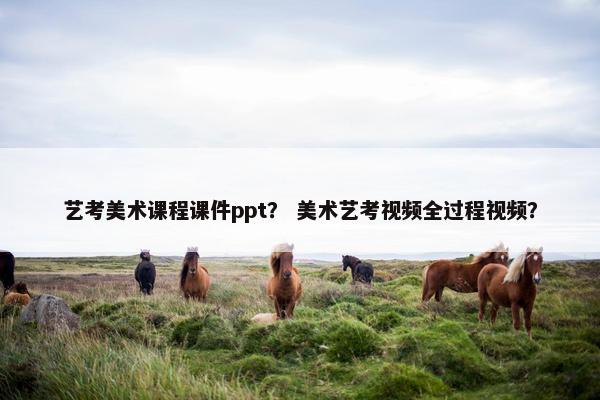 艺考美术课程课件ppt？ 美术艺考视频全过程视频？