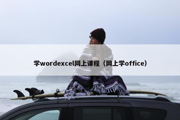 学wordexcel网上课程（网上学office）