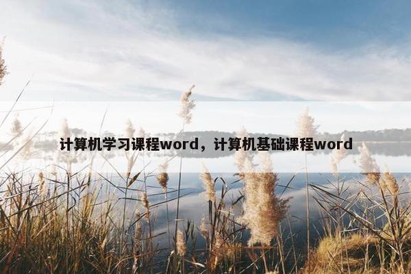 计算机学习课程word，计算机基础课程word