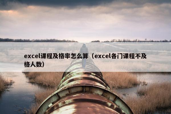 excel课程及格率怎么算（excel各门课程不及格人数）