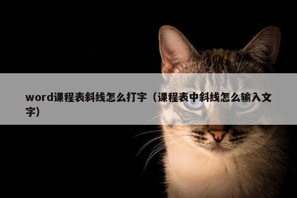 word课程表斜线怎么打字（课程表中斜线怎么输入文字）