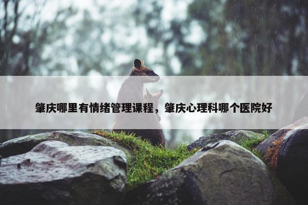 肇庆哪里有情绪管理课程，肇庆心理科哪个医院好
