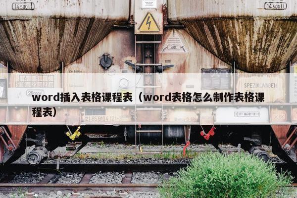 word插入表格课程表（word表格怎么制作表格课程表）