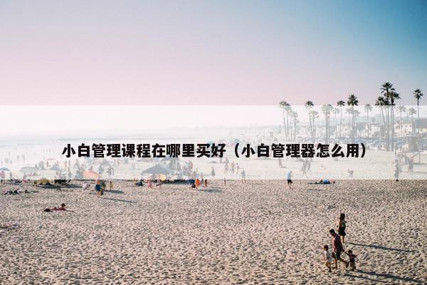小白管理课程在哪里买好（小白管理器怎么用）
