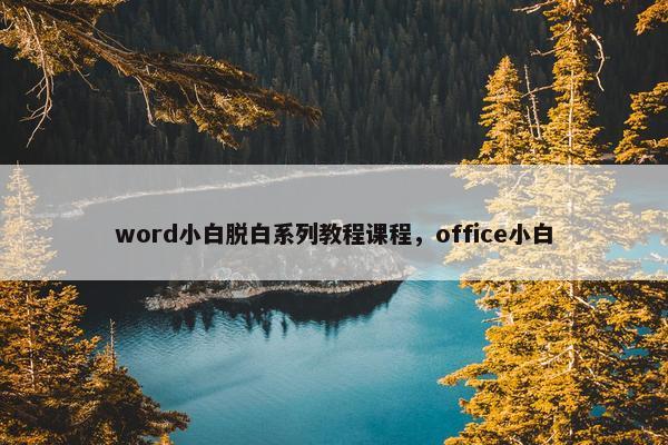 word小白脱白系列教程课程，office小白