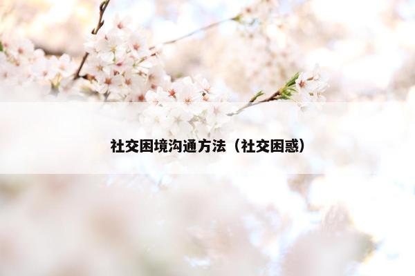 社交困境沟通方法（社交困惑）