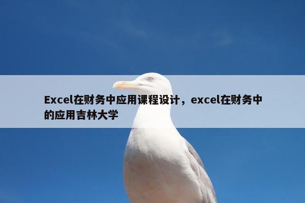 Excel在财务中应用课程设计，excel在财务中的应用吉林大学