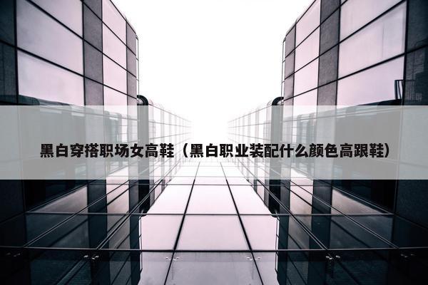 黑白穿搭职场女高鞋（黑白职业装配什么颜色高跟鞋）