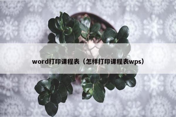 word打印课程表（怎样打印课程表wps）