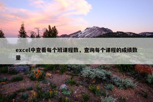 excel中查看每个班课程数，查询每个课程的成绩数量