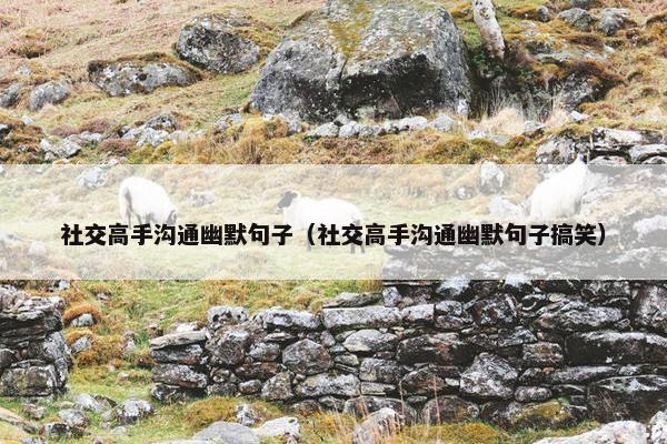 社交高手沟通幽默句子（社交高手沟通幽默句子搞笑）