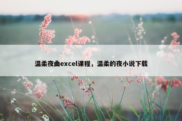 温柔夜曲excel课程，温柔的夜小说下载