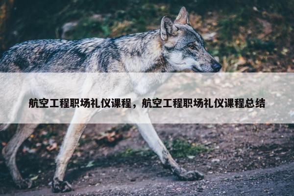 航空工程职场礼仪课程，航空工程职场礼仪课程总结