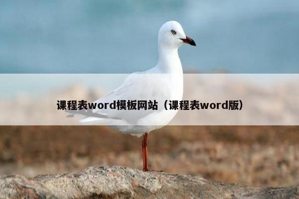 课程表word模板网站（课程表word版）
