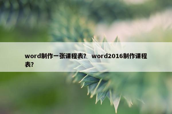 word制作一张课程表？ word2016制作课程表？