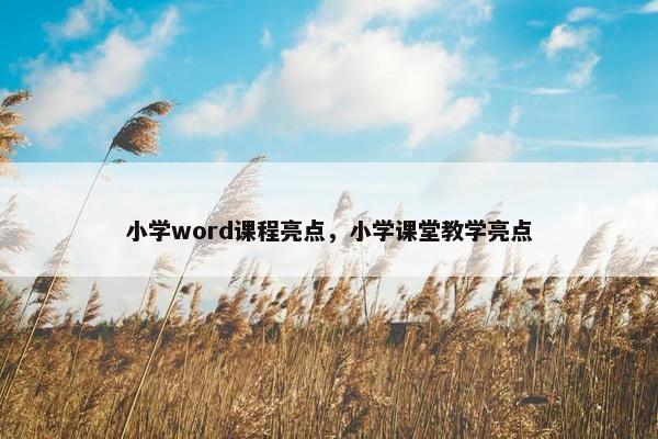 小学word课程亮点，小学课堂教学亮点