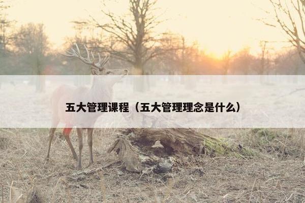 五大管理课程（五大管理理念是什么）