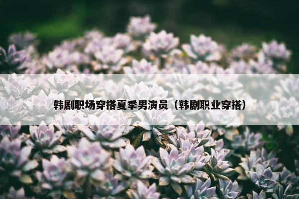 韩剧职场穿搭夏季男演员（韩剧职业穿搭）