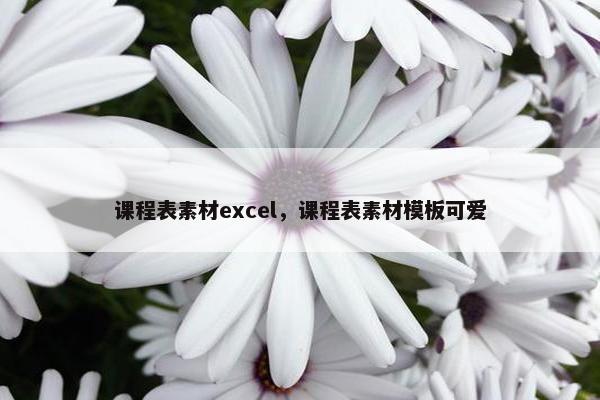 课程表素材excel，课程表素材模板可爱