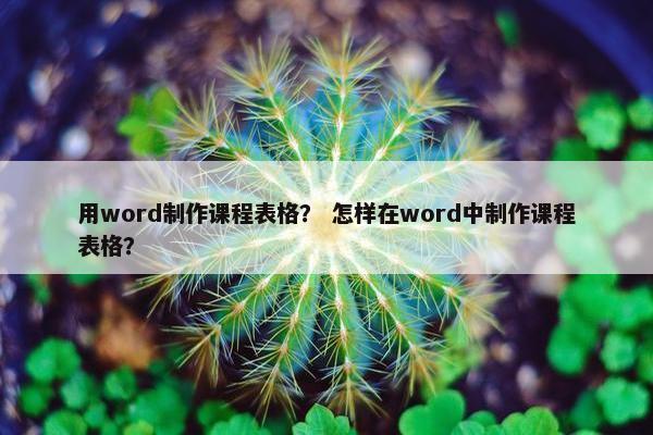 用word制作课程表格？ 怎样在word中制作课程表格？