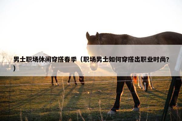 男士职场休闲穿搭春季（职场男士如何穿搭出职业时尚?）